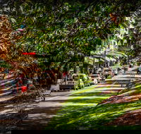 Fully Inclusive Blue Mountains Private Tour inc Scenic World  Featherdale entry - Nambucca Heads Accommodation