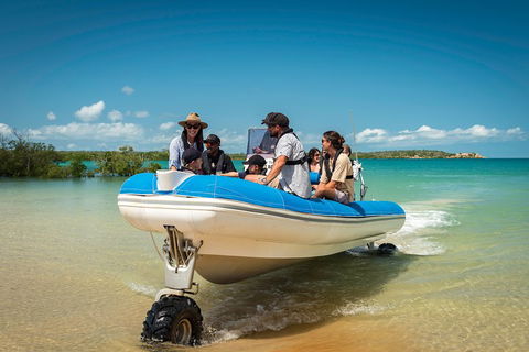 Cygnet Bay Explorer - Nambucca Heads Accommodation 1