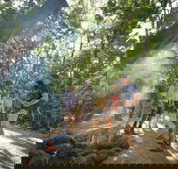 Mossman Gorge Adventure Day - Nambucca Heads Accommodation