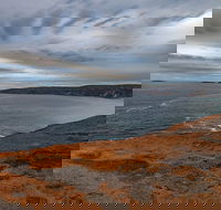 Kangaroo Island Luxury Small Group 'Flinders Chase Focus' Full Day Tour - Nambucca Heads Accommodation