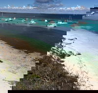 Experience Rottnest with Ferry  Bike Hire from Perth or Fremantle - Nambucca Heads Accommodation