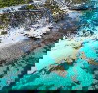 Rottnest Island Round-Trip Ferry from Perth or Fremantle - Nambucca Heads Accommodation