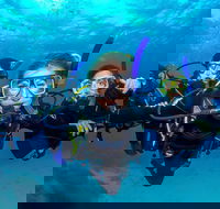 Great Barrier Reef Diving and Snorkeling Cruise from Cairns - Nambucca Heads Accommodation