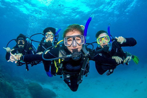 Great Barrier Reef Diving And Snorkeling Cruise From Cairns - Nambucca Heads Accommodation 0