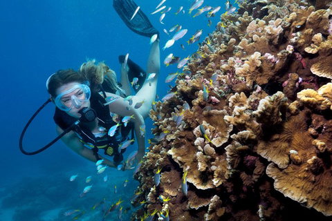 Great Barrier Reef Diving And Snorkeling Cruise From Cairns - Nambucca Heads Accommodation 1