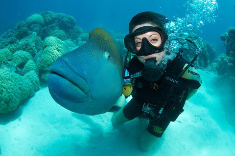 Great Barrier Reef Diving And Snorkeling Cruise From Cairns - Nambucca Heads Accommodation 2