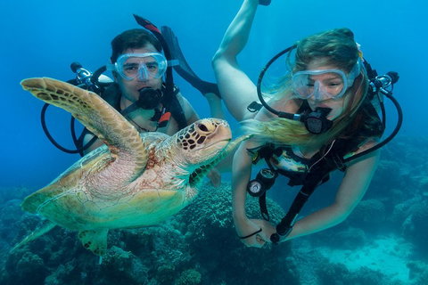 Great Barrier Reef Diving And Snorkeling Cruise From Cairns - Nambucca Heads Accommodation 4