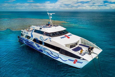 Great Barrier Reef Diving And Snorkeling Cruise From Cairns - Nambucca Heads Accommodation 5