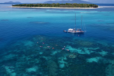 Ocean Free Green Island & Great Barrier Reef Snorkel Cruise, Cairns 25 Guests - Nambucca Heads Accommodation 2