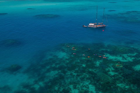 Ocean Free Green Island & Great Barrier Reef Snorkel Cruise, Cairns 25 Guests - Nambucca Heads Accommodation 5