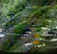 Byron Bay Rainforest Fishing - Nambucca Heads Accommodation