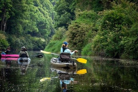 Byron Bay Rainforest Fishing - Nambucca Heads Accommodation 0