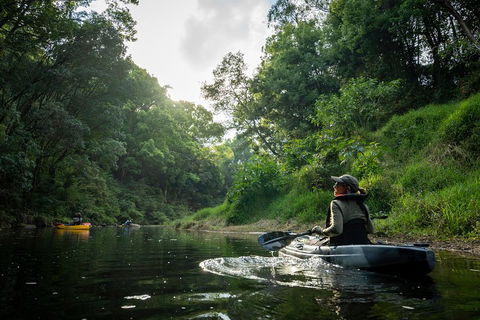 Byron Bay Rainforest Fishing - Nambucca Heads Accommodation 1