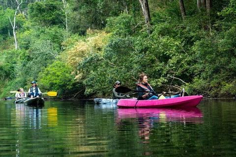 Byron Bay Rainforest Fishing - Nambucca Heads Accommodation 4