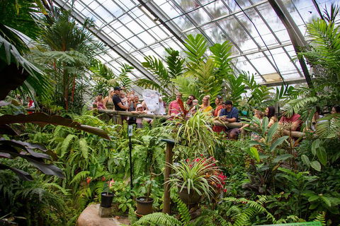 Australian Butterfly Sanctuary - Nambucca Heads Accommodation 0