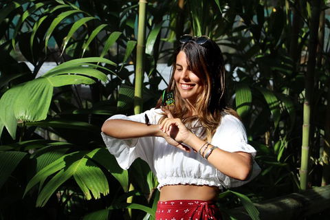 Australian Butterfly Sanctuary - Nambucca Heads Accommodation 1
