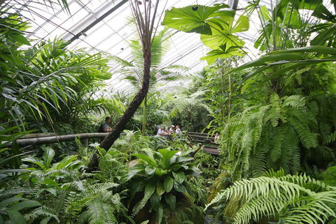Australian Butterfly Sanctuary - Nambucca Heads Accommodation 3
