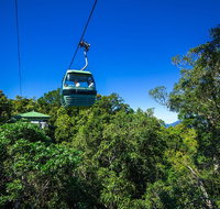 Classic Kuranda by Skyrail and Scenic Railway Including Rainforestation Koala and Wildlife Park and Pamagirri Aboriginal Experi - Nambucca Heads Accommodation