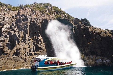 Full-Day Bruny Island Cruises Day Tour From Hobart - Nambucca Heads Accommodation 4