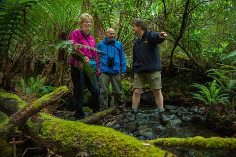 Bruny Island Traveller - Gourmet Tasting And Sightseeing Day Trip From Hobart - Nambucca Heads Accommodation 1