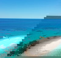 Ocean Safari Great Barrier Reef Experience in Cape Tribulation - Nambucca Heads Accommodation