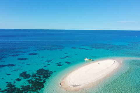 Ocean Safari Great Barrier Reef Experience In Cape Tribulation - Nambucca Heads Accommodation 0