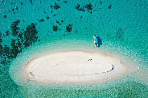Ocean Safari Great Barrier Reef Experience In Cape Tribulation - Nambucca Heads Accommodation 3