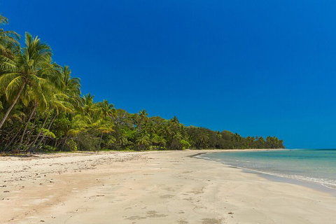 Ocean Safari Great Barrier Reef Experience In Cape Tribulation - Nambucca Heads Accommodation 4