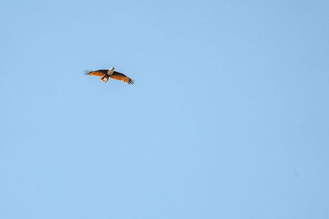 North Stradbroke Island Day Trip From Brisbane - Nambucca Heads Accommodation 4