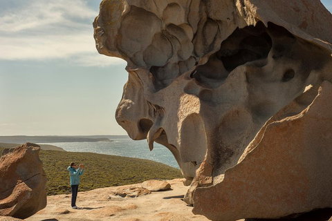 Kangaroo Island In A Day Tour From Adelaide - Nambucca Heads Accommodation 5