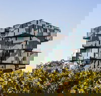 Small Group McLaren Vale and The Cube Experience - Nambucca Heads Accommodation