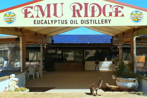 2 Day Ultimate Kangaroo Island With Return Ferry - Nambucca Heads Accommodation 3