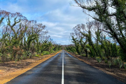 2 Day Ultimate Kangaroo Island With Return Ferry - Nambucca Heads Accommodation 4
