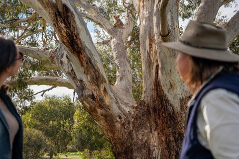 NEW TOUR - Kangaroo Island Road To Recovery Tour (1 Day/1 Night) - Nambucca Heads Accommodation 0
