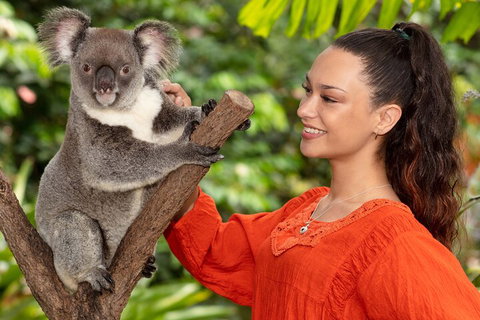 Kuranda Wildlife Experience Three Attraction Pass - Nambucca Heads Accommodation 4