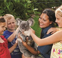 Kuranda Koala Gardens General Entry Ticket - Nambucca Heads Accommodation