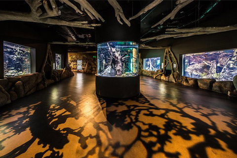 Cairns Aquarium Admission Ticket - Nambucca Heads Accommodation 1