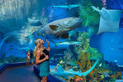 Cairns Aquarium Admission Ticket - Nambucca Heads Accommodation 3