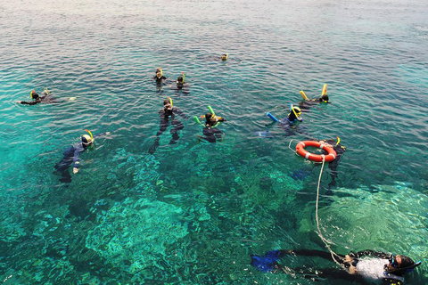 Seastar Luxury Outer Great Barrier Reef Island And Reef Tour From Cairns - Nambucca Heads Accommodation 2