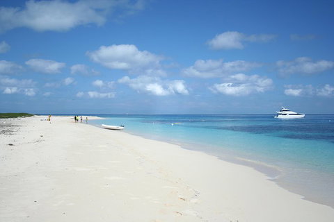 Seastar Luxury Outer Great Barrier Reef Island And Reef Tour From Cairns - Nambucca Heads Accommodation 3
