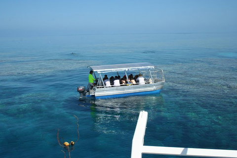 Seastar Luxury Outer Great Barrier Reef Island And Reef Tour From Cairns - Nambucca Heads Accommodation 5