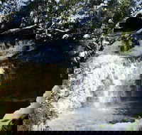 Cradle Mountain Day Tour from Launceston Including Lunch - Nambucca Heads Accommodation