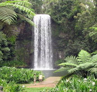 Private Daintree and Cape Tribulation Tour from Port Douglas - Nambucca Heads Accommodation