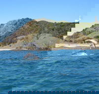 Kayaking with Dolphins in Byron Bay Guided Tour - Nambucca Heads Accommodation