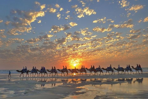 Broome City Sightseeing Tour With Optional Camel Ride - Nambucca Heads Accommodation 1