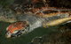 Cape Leveque 4WD Tour From Broome With Optional Return Flight - thumb 2