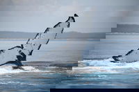 Book Viator Accommodation Vacations Nambucca Heads Accommodation Nambucca Heads Accommodation