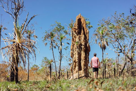 Litchfield National Park Waterfalls And Wildlife Tour From Darwin - Nambucca Heads Accommodation 4