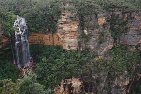 Blue Mountains Private Tour With Kangaroos & Koala Encounter - Nambucca Heads Accommodation 2