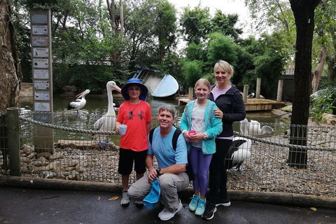 Blue Mountains Private Tour With Kangaroos & Koala Encounter - Nambucca Heads Accommodation 4